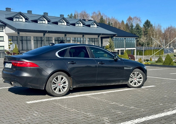 Jaguar XF cena 80000 przebieg: 115509, rok produkcji 2016 z Kraków małe 704